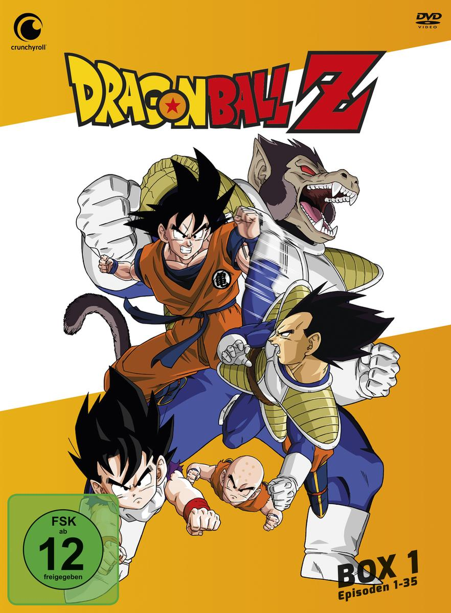 Dragon Ball Z DVD-Box-Set mit Charakteren in Aktion und gelbem Hintergrund.