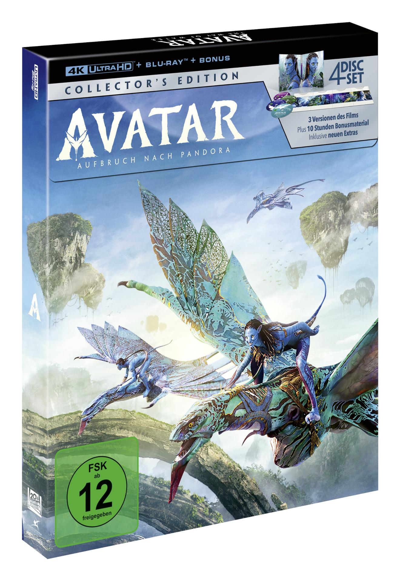 DVD-Box des Films Avatar mit Na'vi-Charakteren und fliegenden Kreaturen.