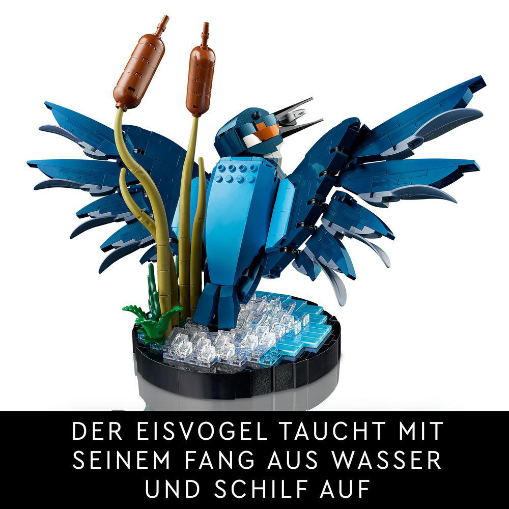 Lego-Modell eines blauen Vogels mit offenen Flügeln. Text: DER EISVOGEL TAUCHT MIT SEINEM FANG AUS WASSER UND SCHILF AUF.