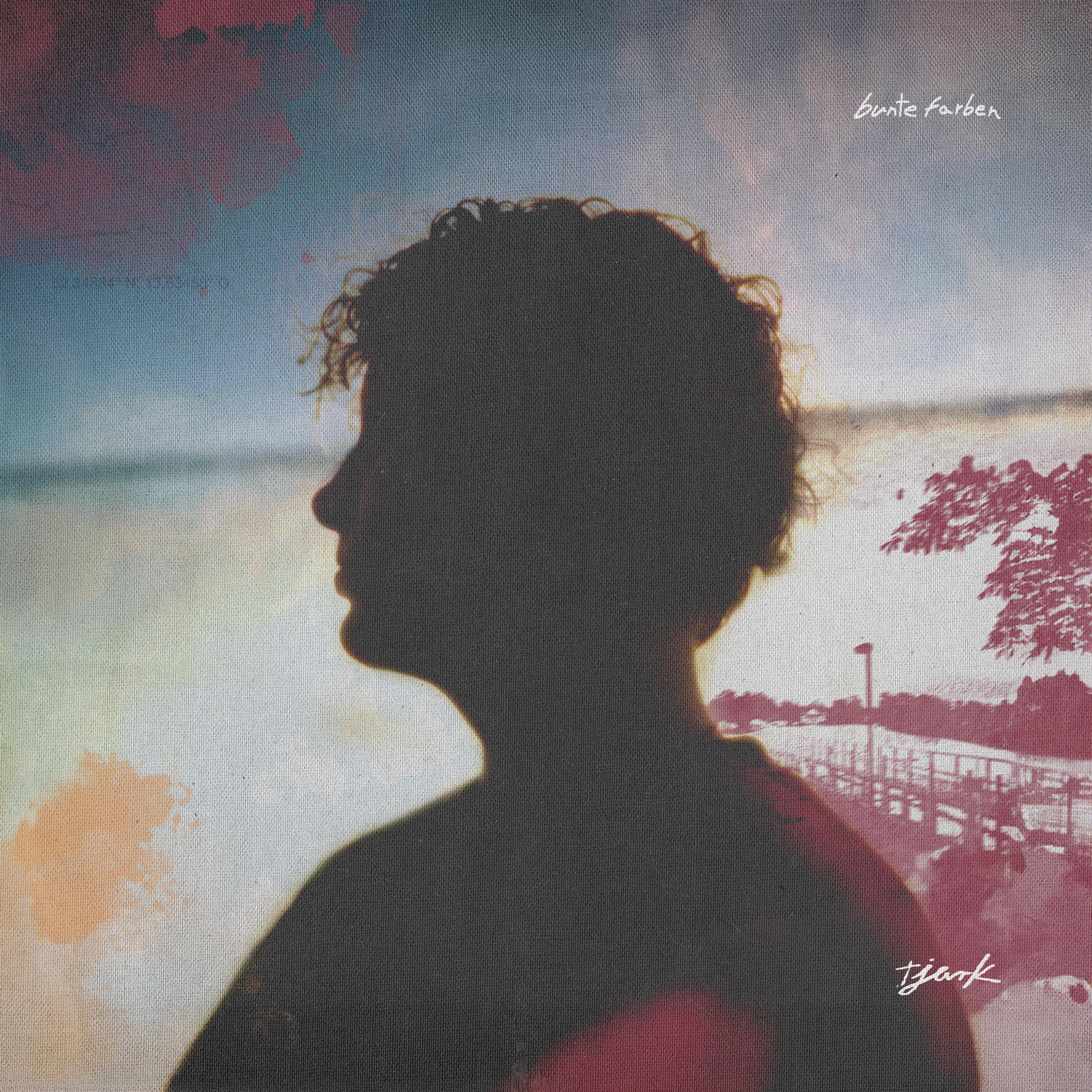 Silhouette einer Person mit Locken vor Sonnenuntergang, Albumcover.