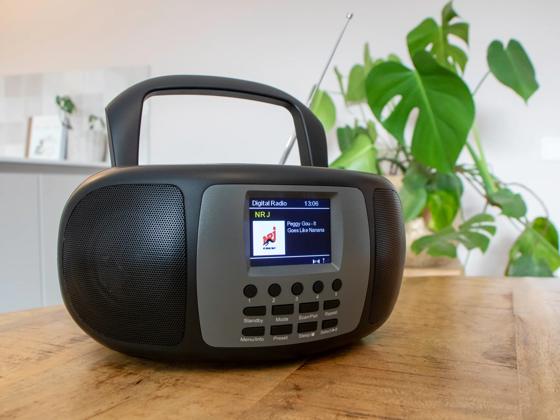 Radio noire avec une poignée, écran affichant une station et plante verte.