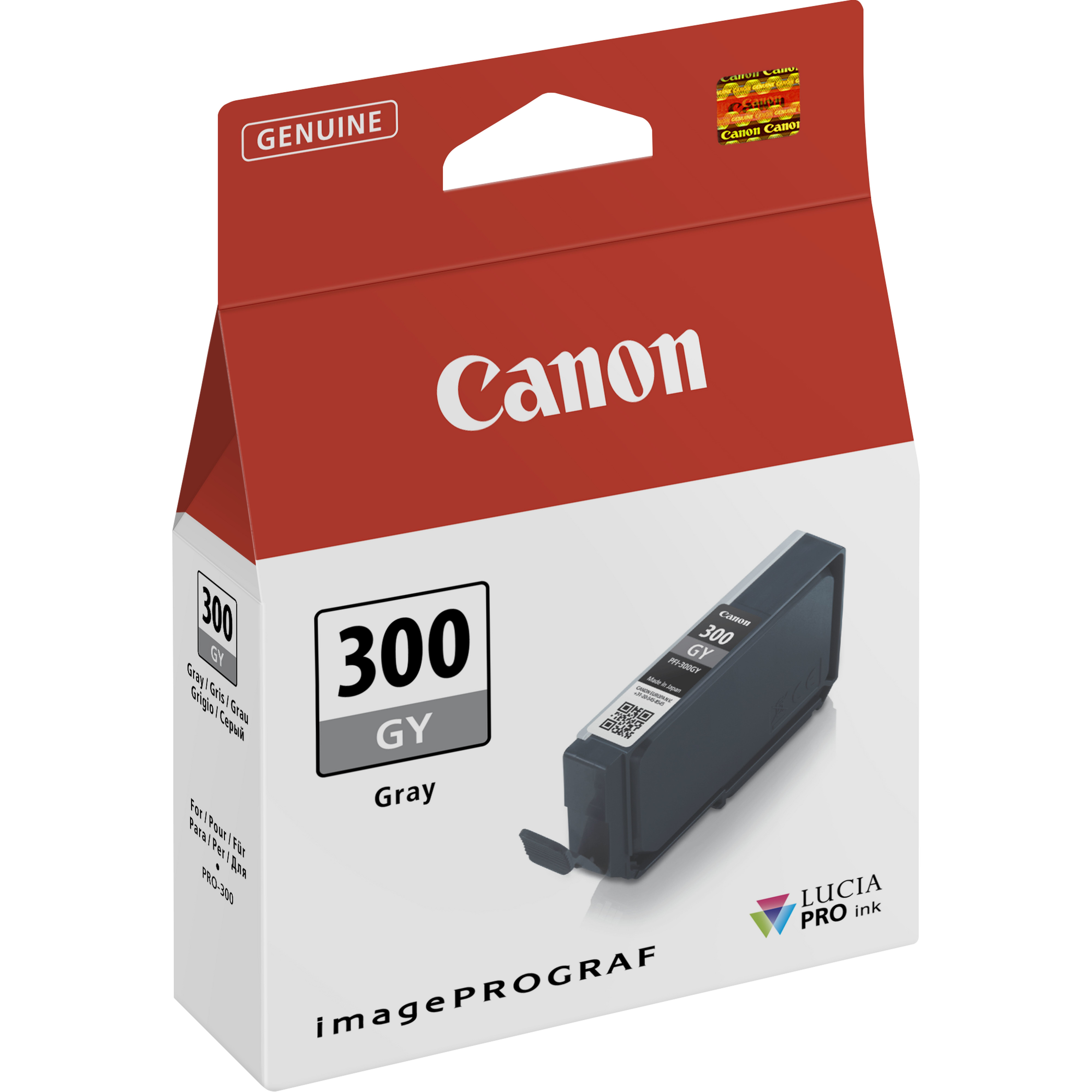 Canon 300 GY graue Tintenpatronenverpackung. Die Box ist rot und weiß, mit einer grauen Tintenpatrone darin.
