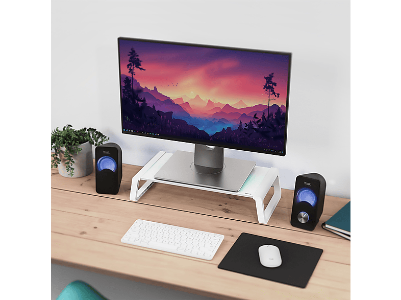 Newstar Supporto da Scrivania per Monitor Curvi Fino a 49&quot