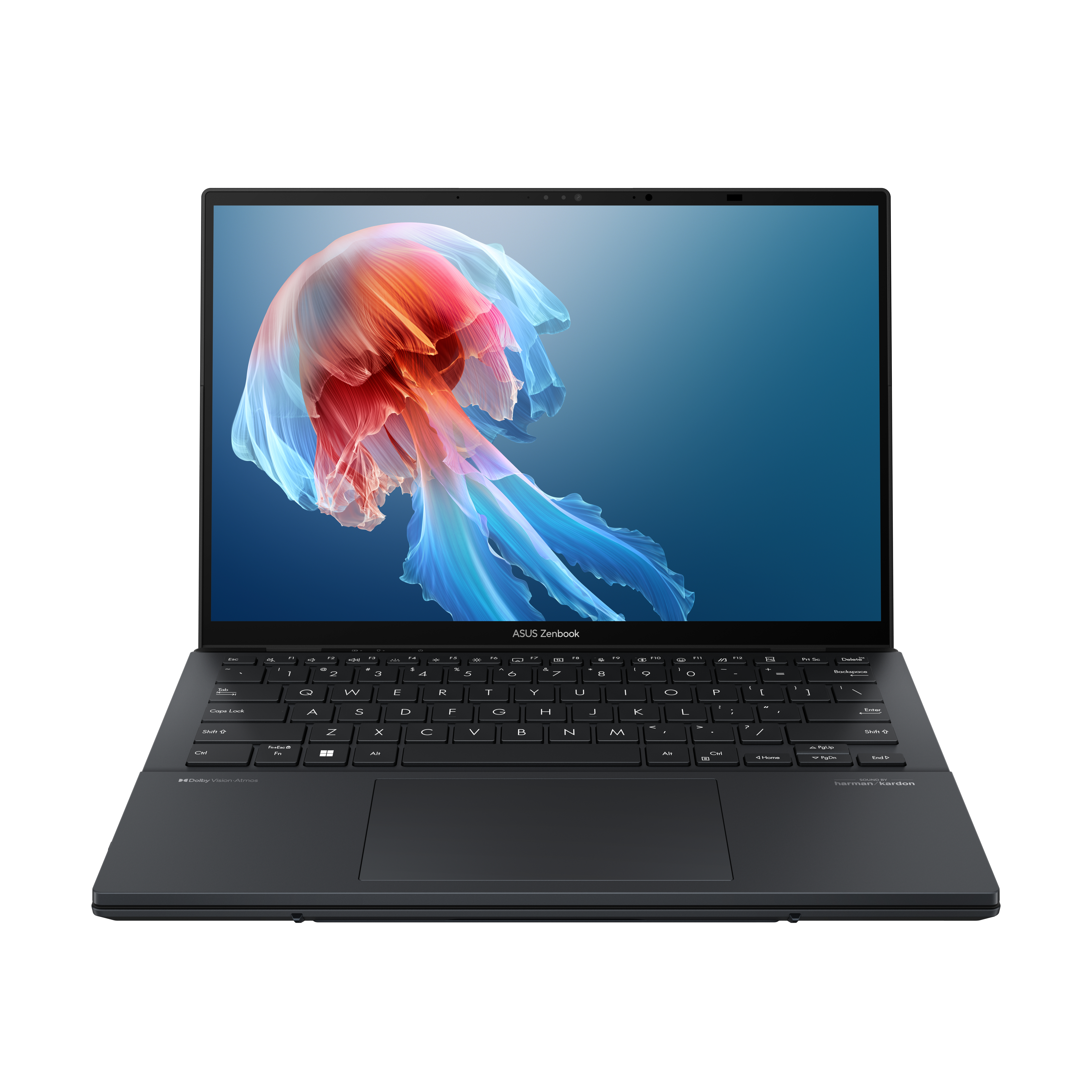Offener blauer Laptop mit einem bunten Quallenbildschirm.