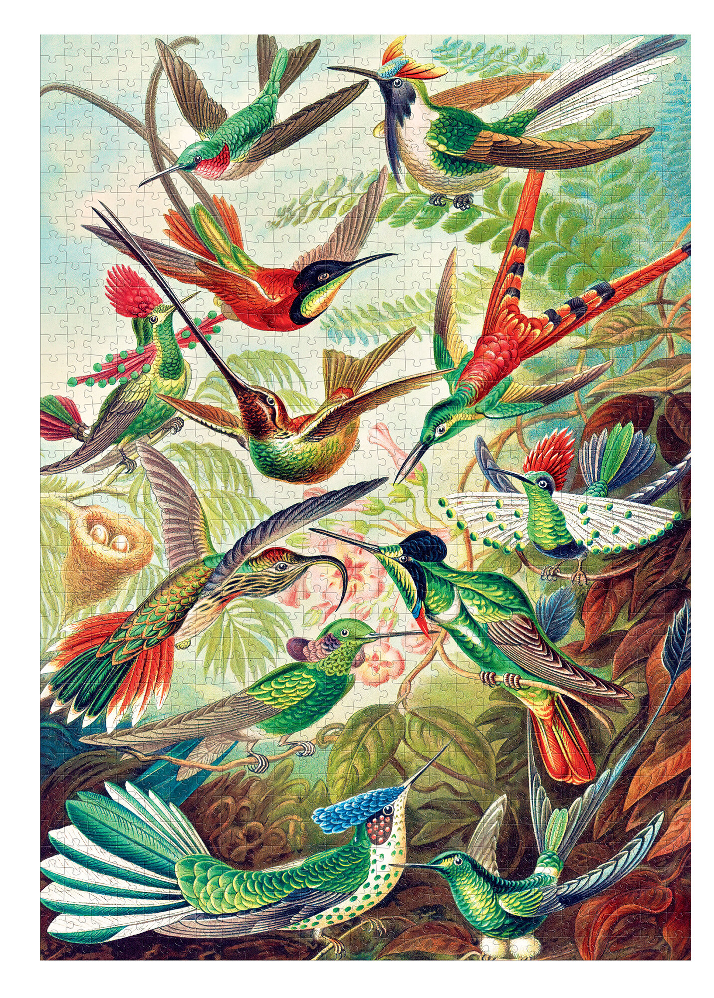 Puzzle z kolorowymi kolibrami, różne gatunki w locie.