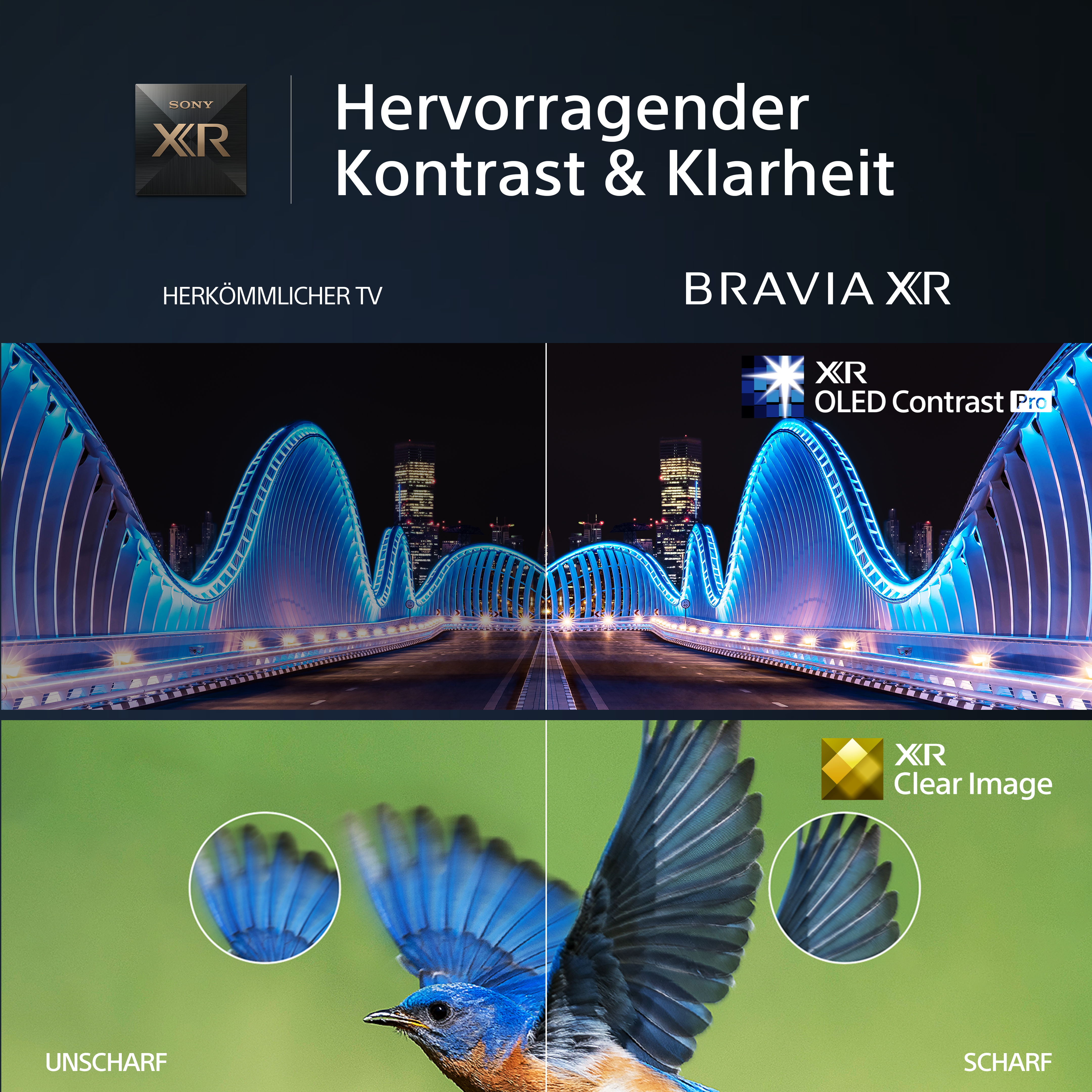Bild zeigt TV-Kontrast. Linke Seite zeigt ein unscharfes Bild, rechte Seite zeigt ein scharfes Bild.
