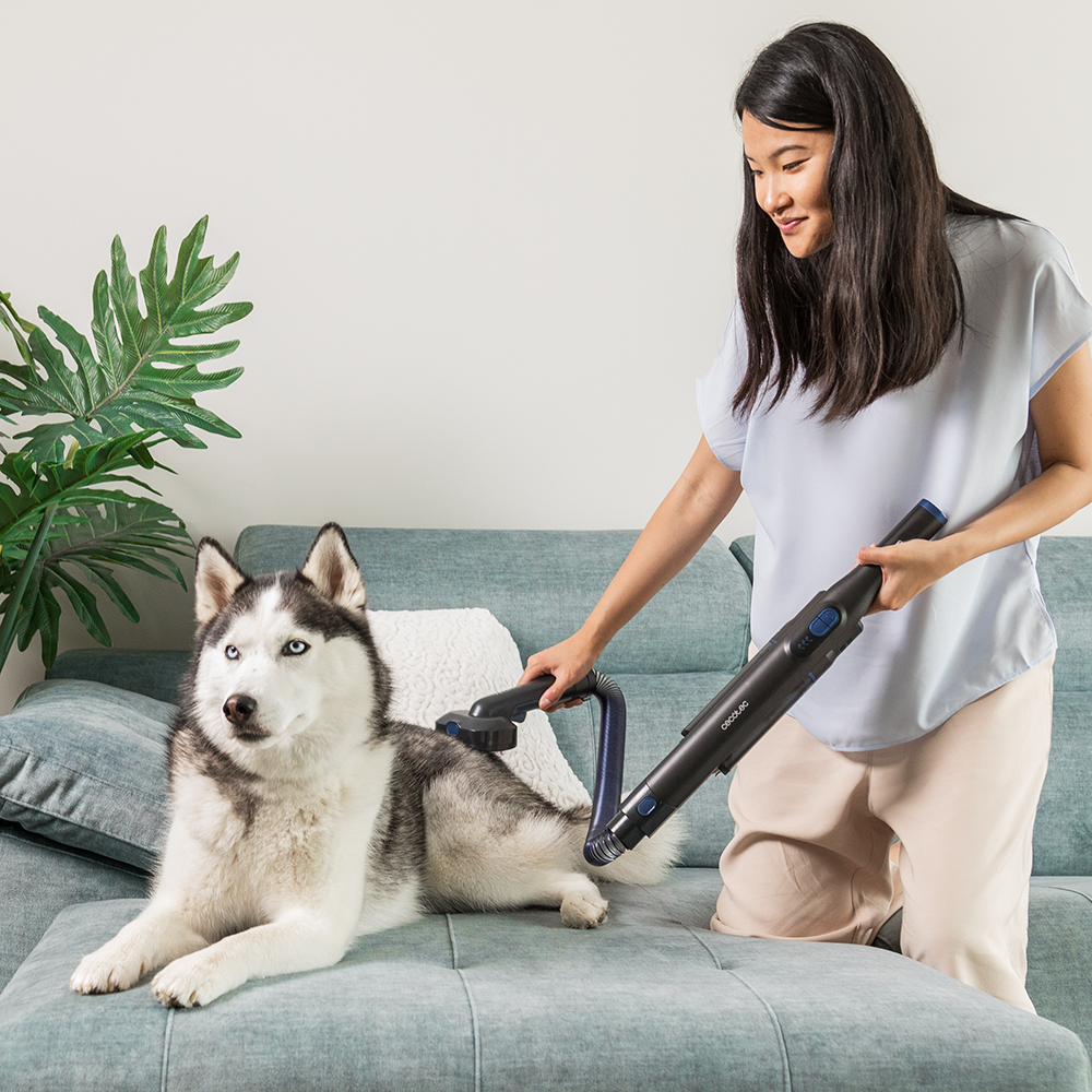 Una mujer aspira a un perro Husky en un sofá. Una planta y una almohada en el fondo.