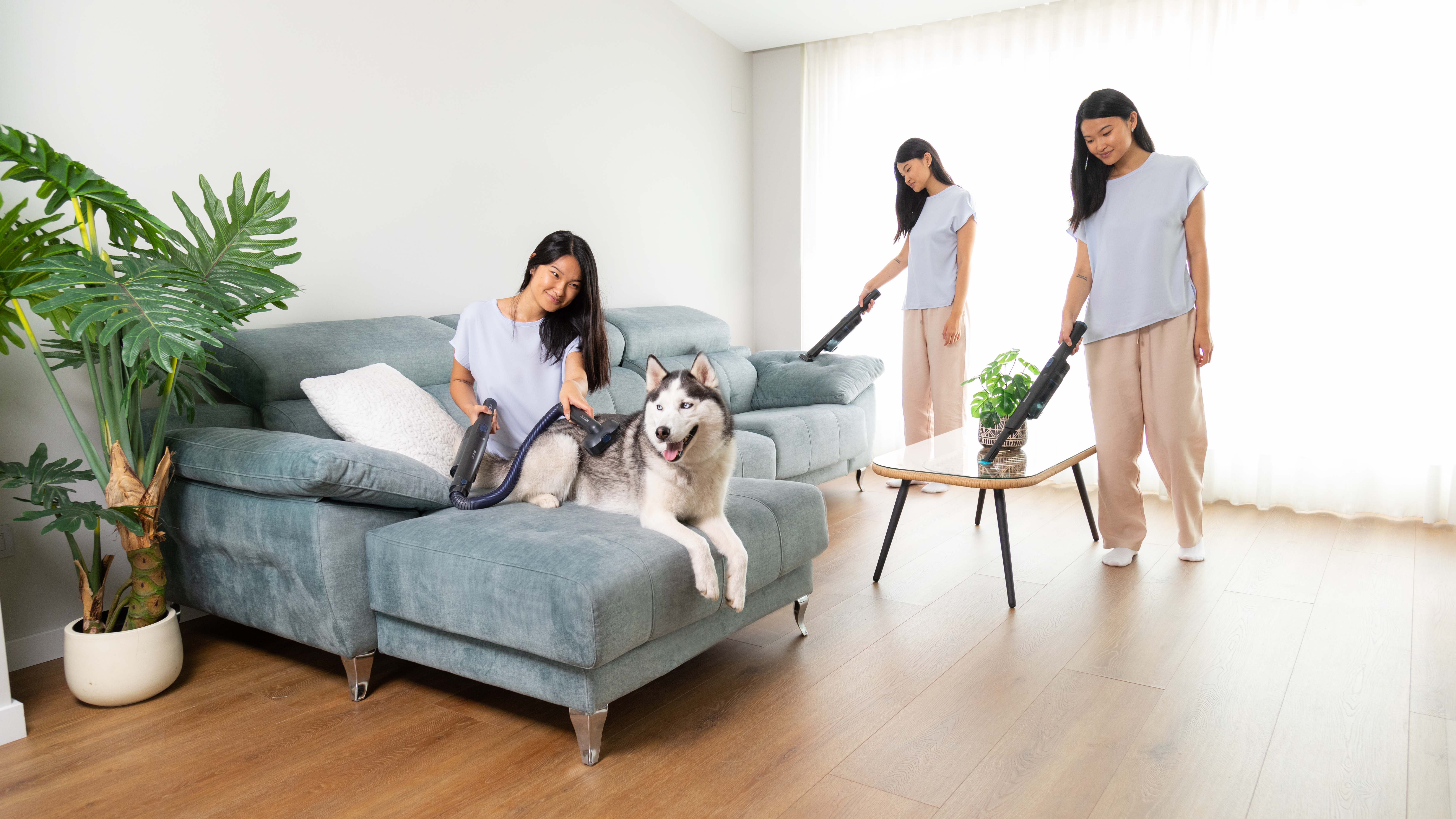 Una mujer aspirando un sofá con un perro, y una segunda y tercera imagen de la mujer aspirando.