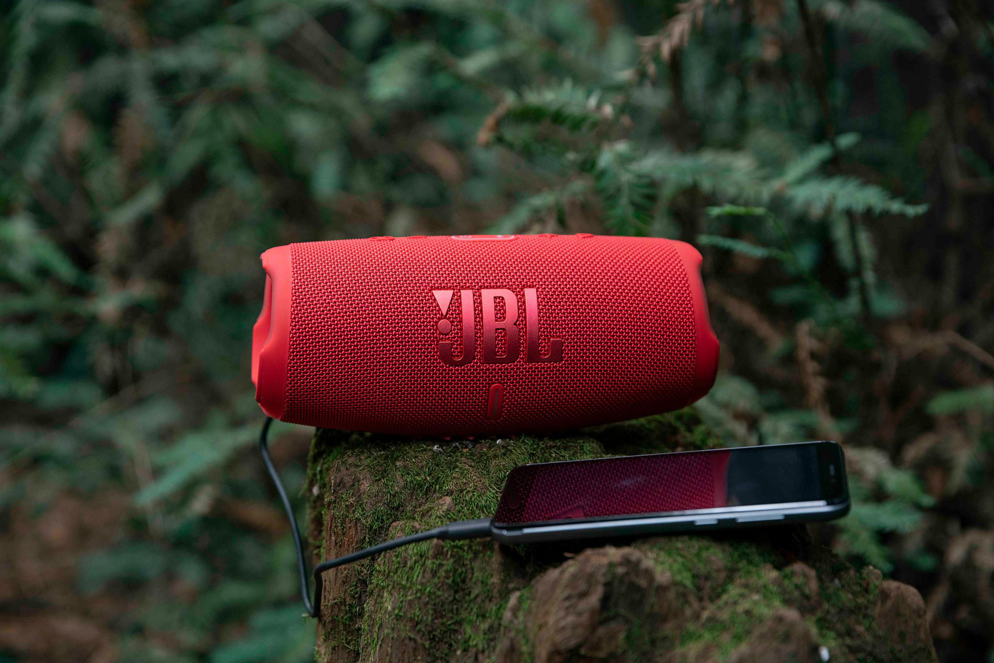 Roter JBL-Lautsprecher und Smartphone laden auf einem moosbewachsenen Baumstamm.