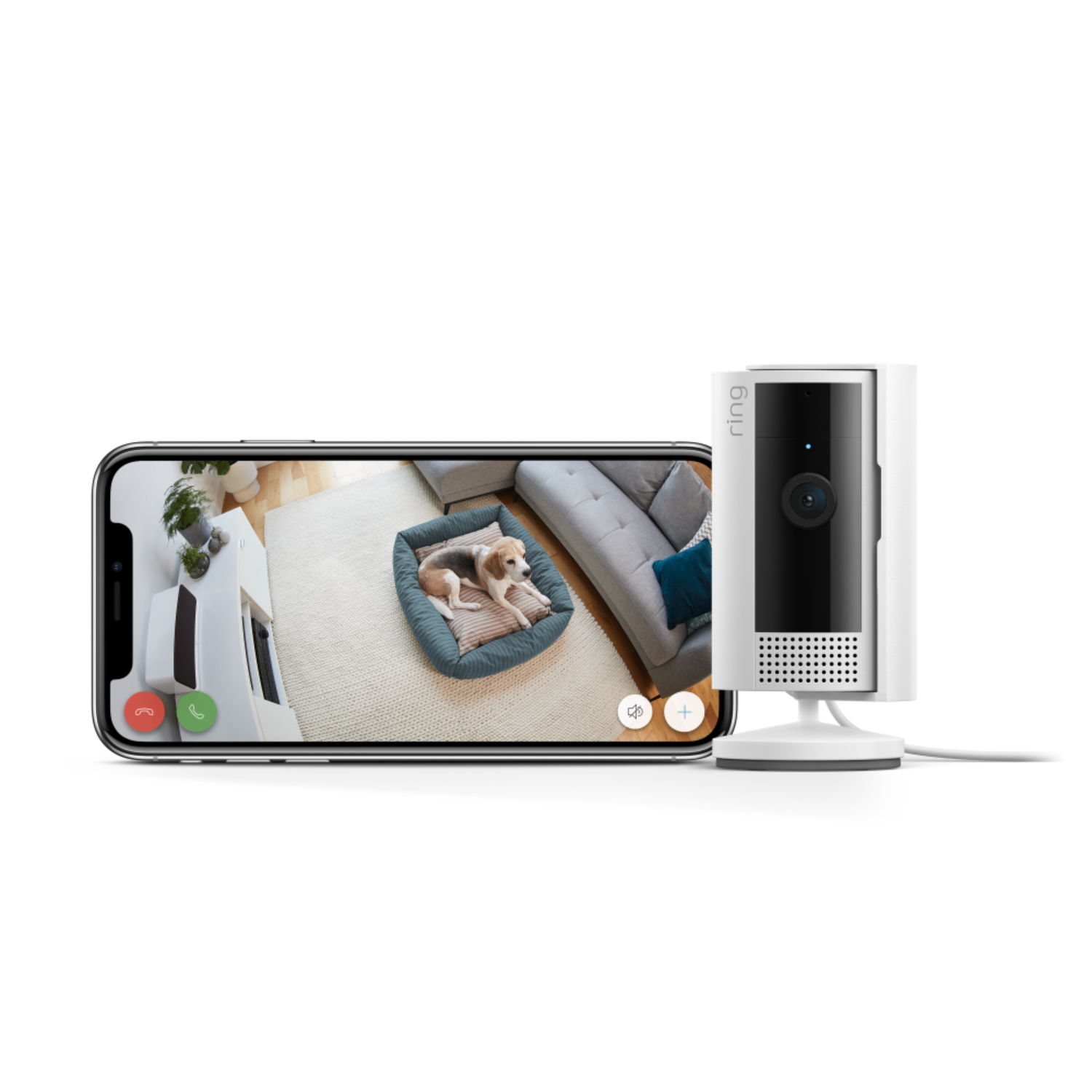 Een Ring beveiligingscamera staat naast een telefoon die een live feed van een hond op een kleed toont.