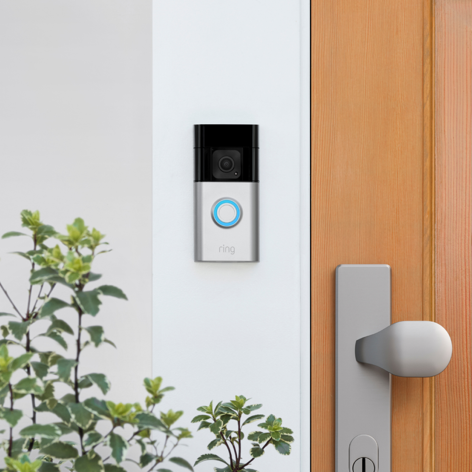 A Ring video doorbell mounted on a wall next to a wooden door, with a plant in the foreground.
