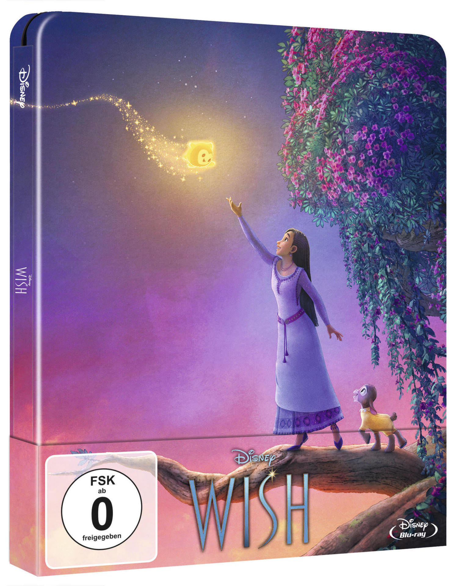 DVD-Cover für 'Wish' mit Mädchen, Hund und leuchtenden Sternen am lila Nachthimmel.