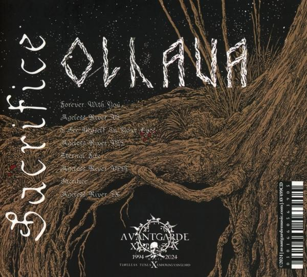 Album-Cover mit Baumwurzeln, Bandnamen OLLAUA und Songliste. Dunkler Hintergrund.