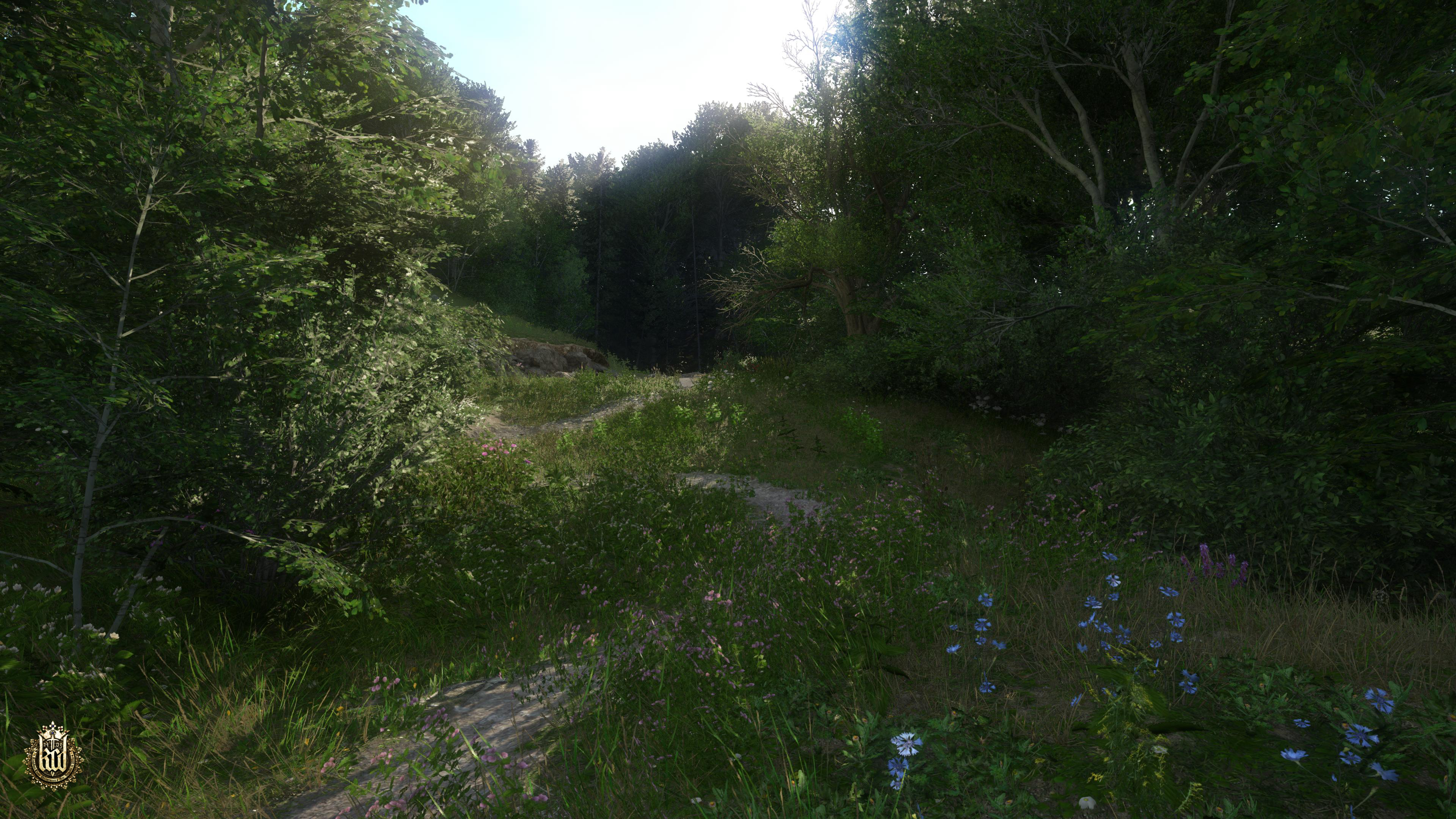 Waldszene mit Pfad. Grünes Laub und Bäume sind sichtbar. Sonnenlicht filtert hindurch.
