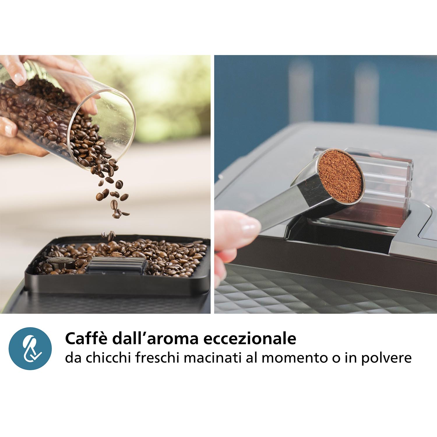 Chicchi di caffè versati in un contenitore e caffè macinato in un cucchiaio.