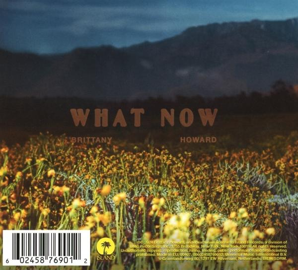Albumcover mit gelben Blumen, dunklen Bergen und dem Text 'WHAT NOW' und Künstlernamen.