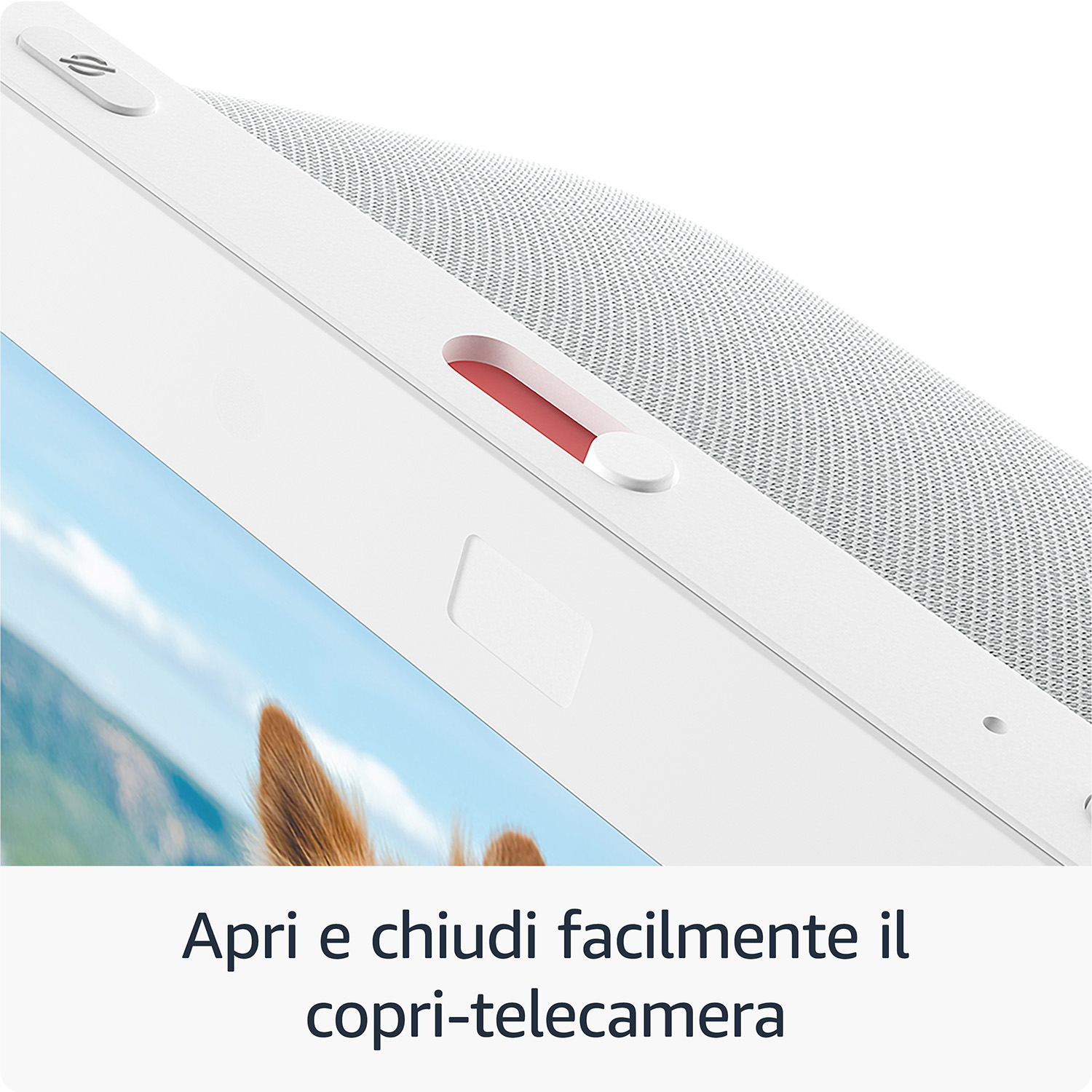 Primo piano di un Echo Show 8 bianco, che mostra la copertura della fotocamera, con immagine di cane.