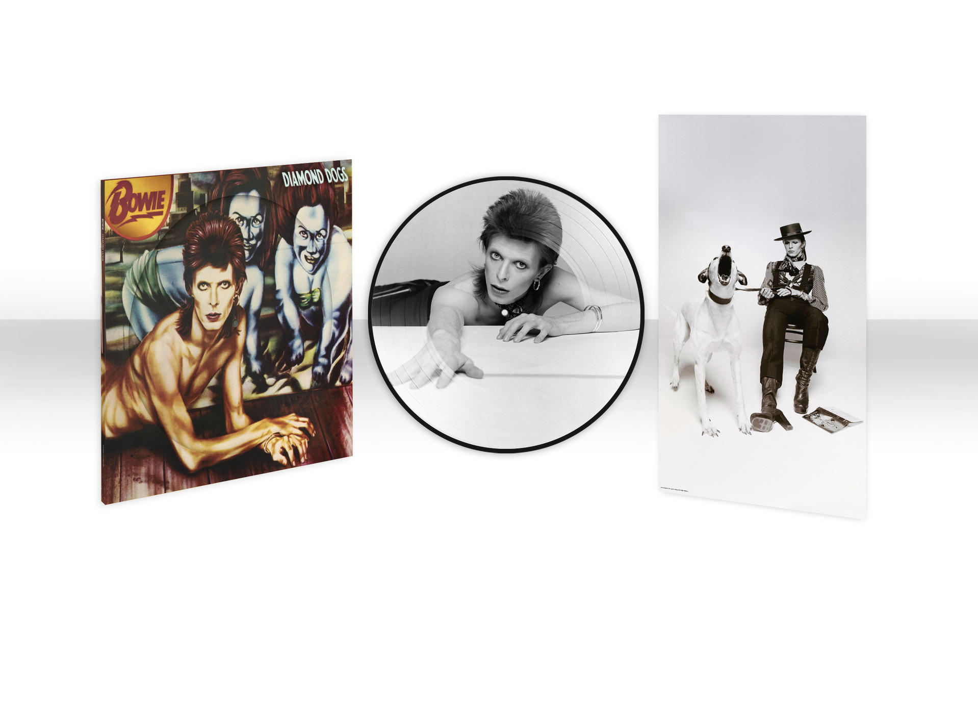 David-Bowie-Bilder: Albumcover, Zeichnung und ein Foto mit einem Hund.