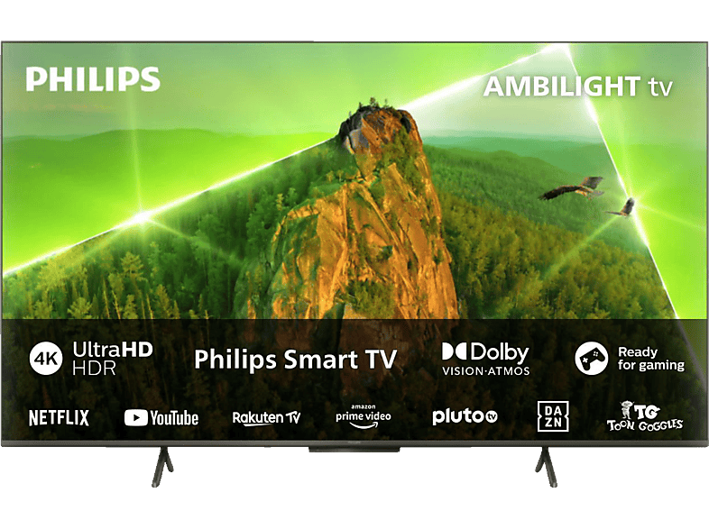 How to get netflix hot sale on philips smart tv