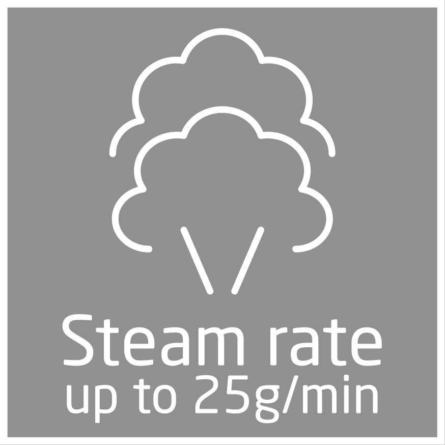 Symbol mit zwei wolkenartigen Formen und Text 'Steam rate up to 25g/min'.