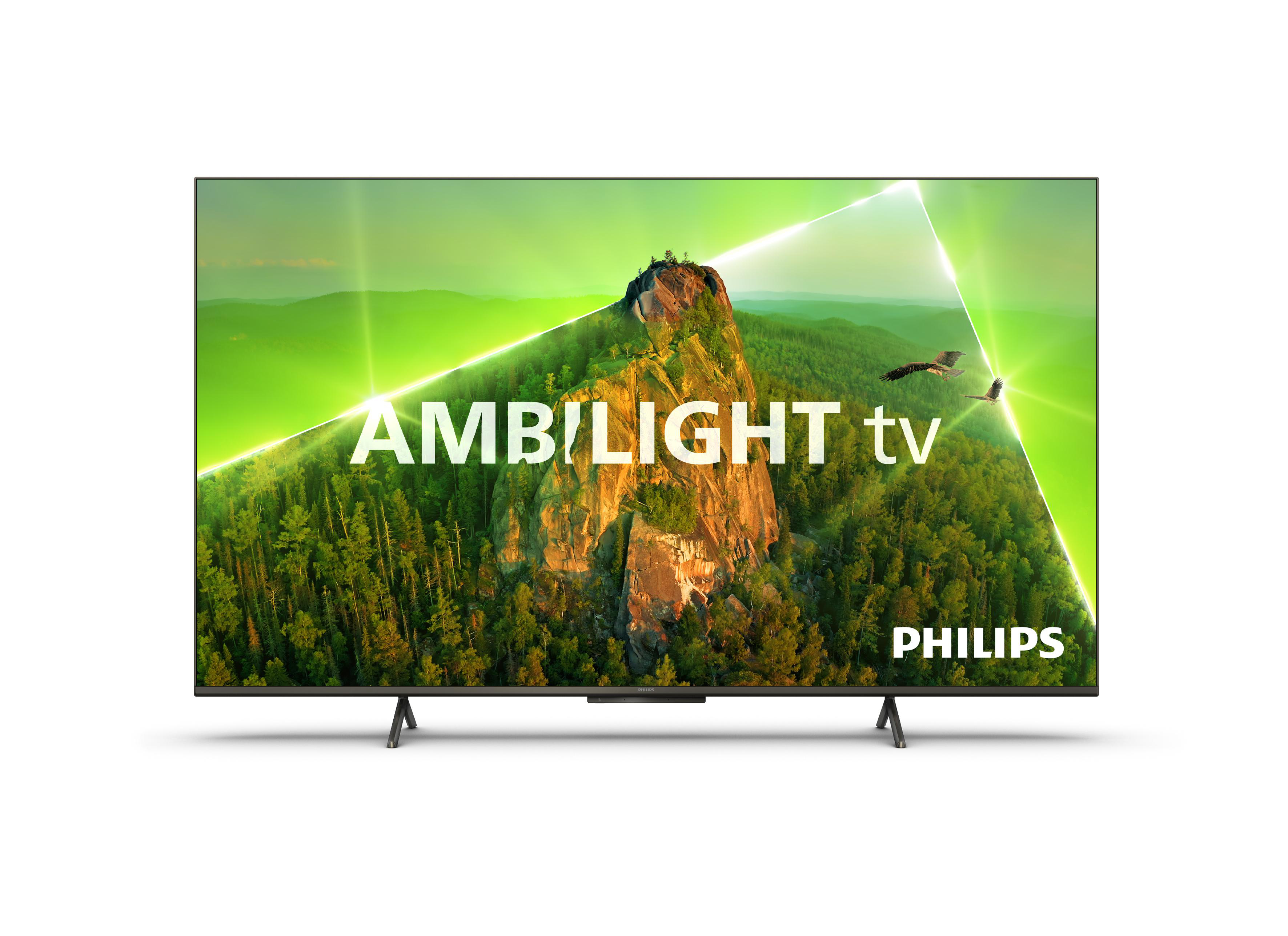 Philips Ambilight TV. Zeigt eine Berglandschaft mit grünem Wald und Himmel. Philips-Logo unten.
