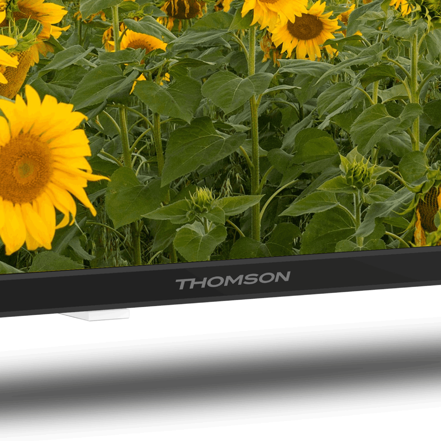 Primer plano de un televisor con la marca 'THOMSON' frente a un campo de girasoles.