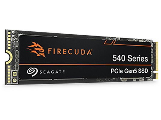 SEAGATE ZP1000GM3A004 - Interne Festplatte (SSD, 1 TB, Schwarz)