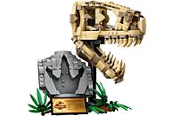Klocki LEGO Jurassic World Szkielety dinozaurów - czaszka tyranozaura (76964)