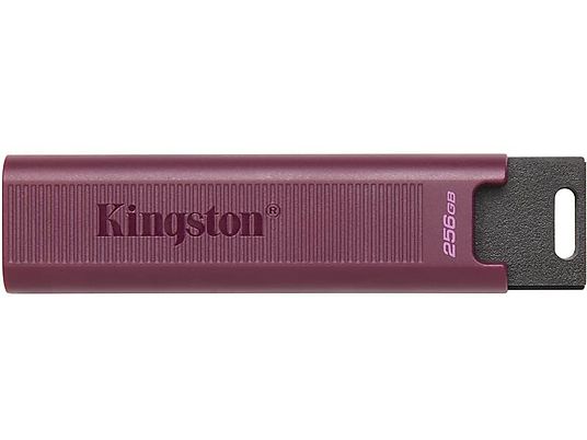 KINGSTON DTMAXA/256GB - Chiavetta USB  (256 GB, Viola)