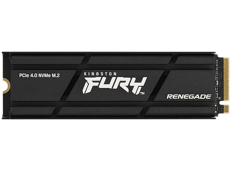 KINGSTON SFYRSK/500G | Interne Festplatte (SSD, 500 GB, Silber ...