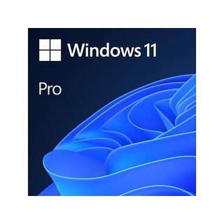 Microsoft Windows 11 Pro 64 Bit - PC - 