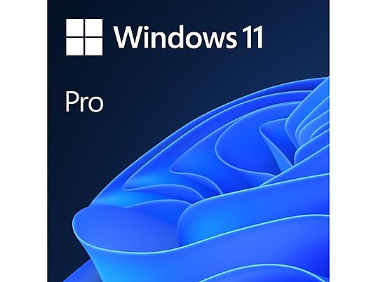 Microsoft Windows 11 Pro 64 Bit - PC - 