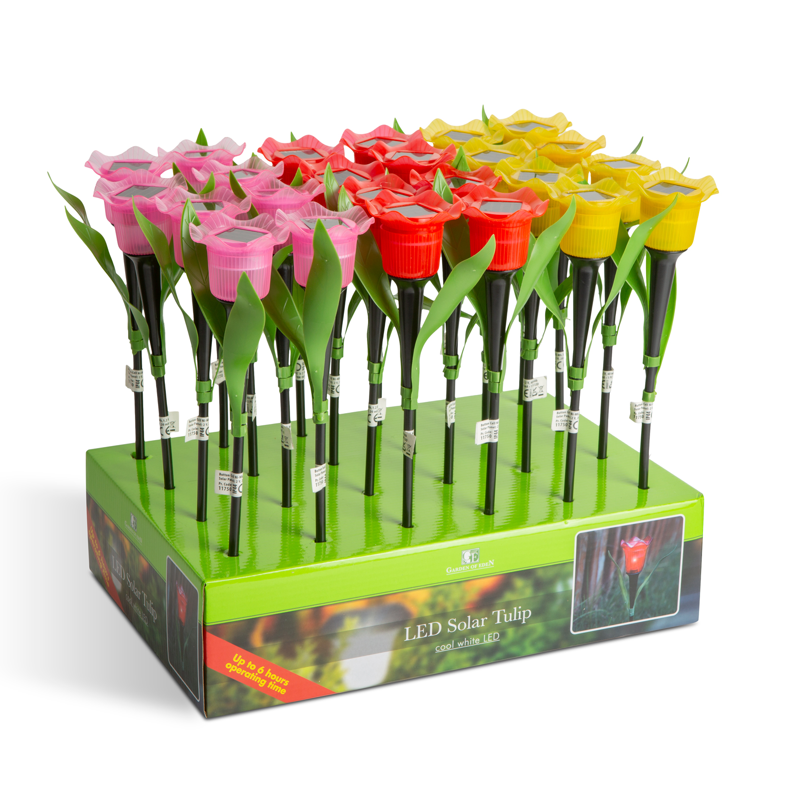 Rózsaszín, piros és sárga szolár tulipánok zöld dobozban.
