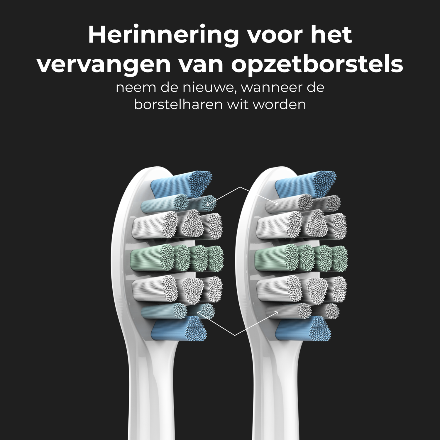 Two toothbrush heads side-by-side. Text: 'Reminder to replace brush heads'.