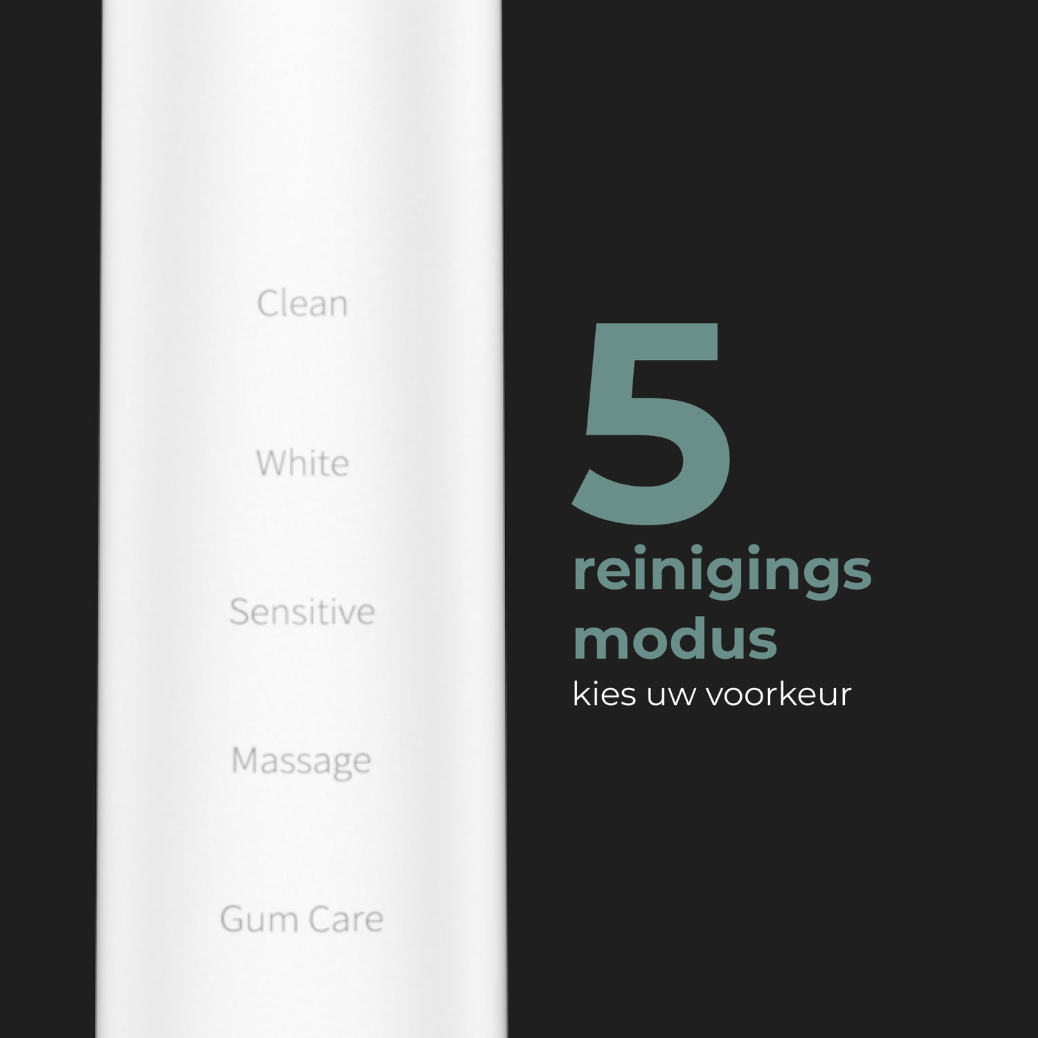 Image displays 5 cleaning modes for a product. Text in Dutch. White and gray color scheme.