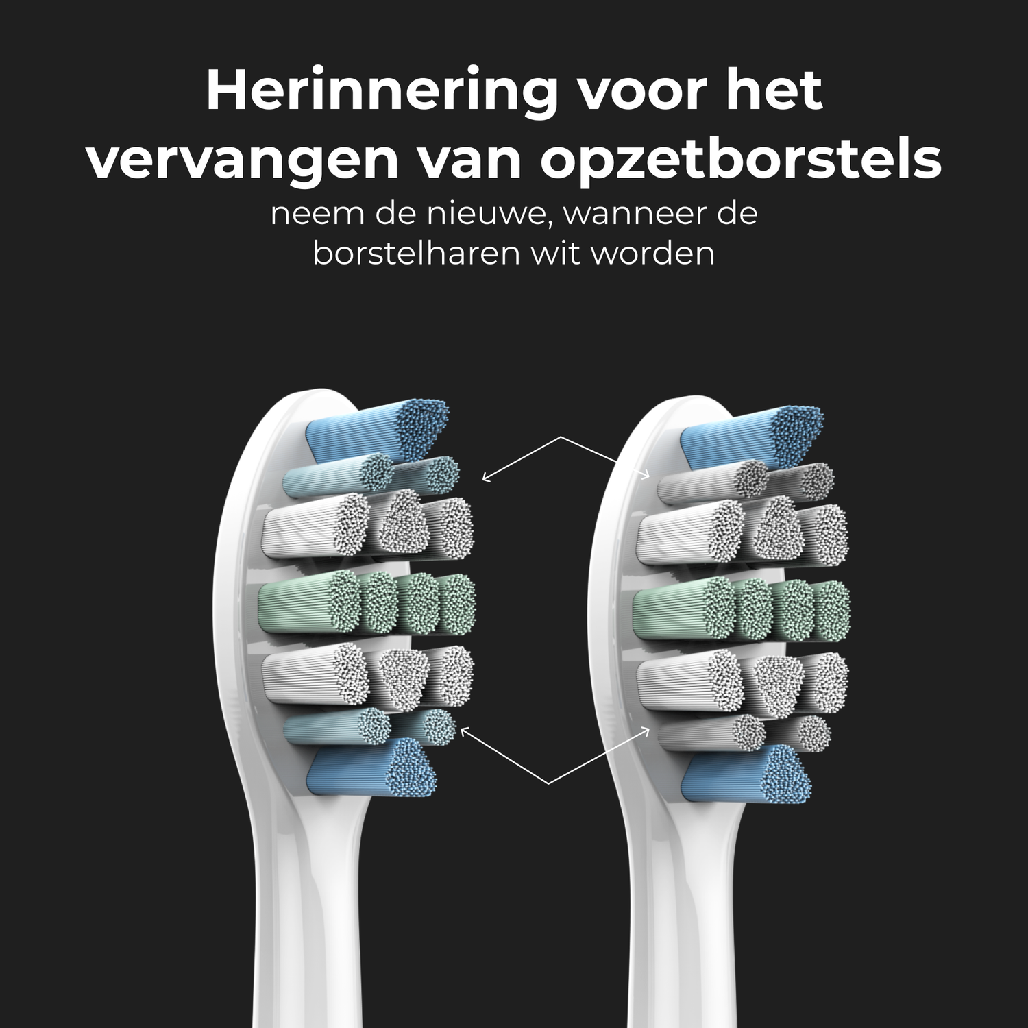 Two white toothbrush heads with blue and green bristles, and text above.