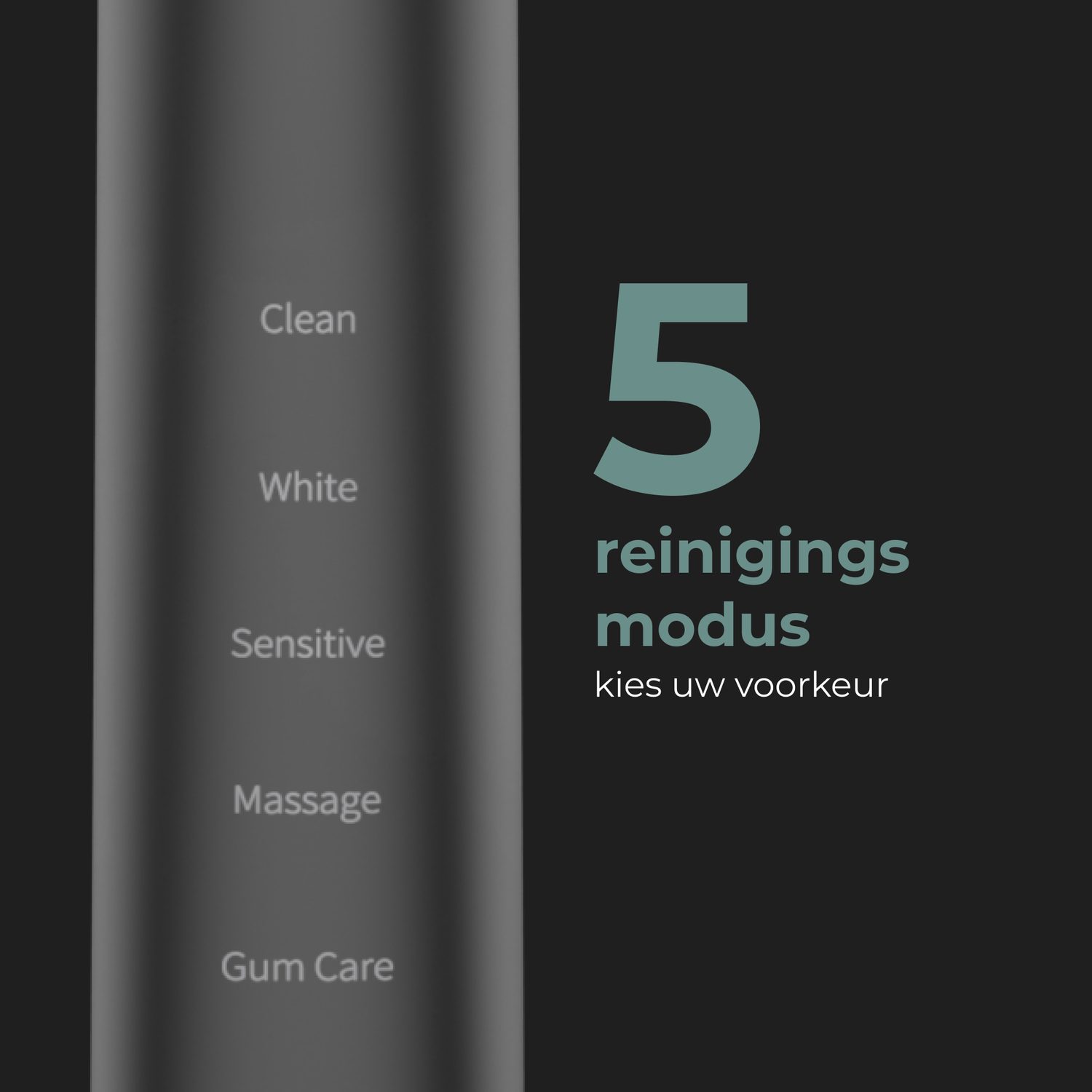 A screen shows five cleaning modes for a device, with text in Dutch.