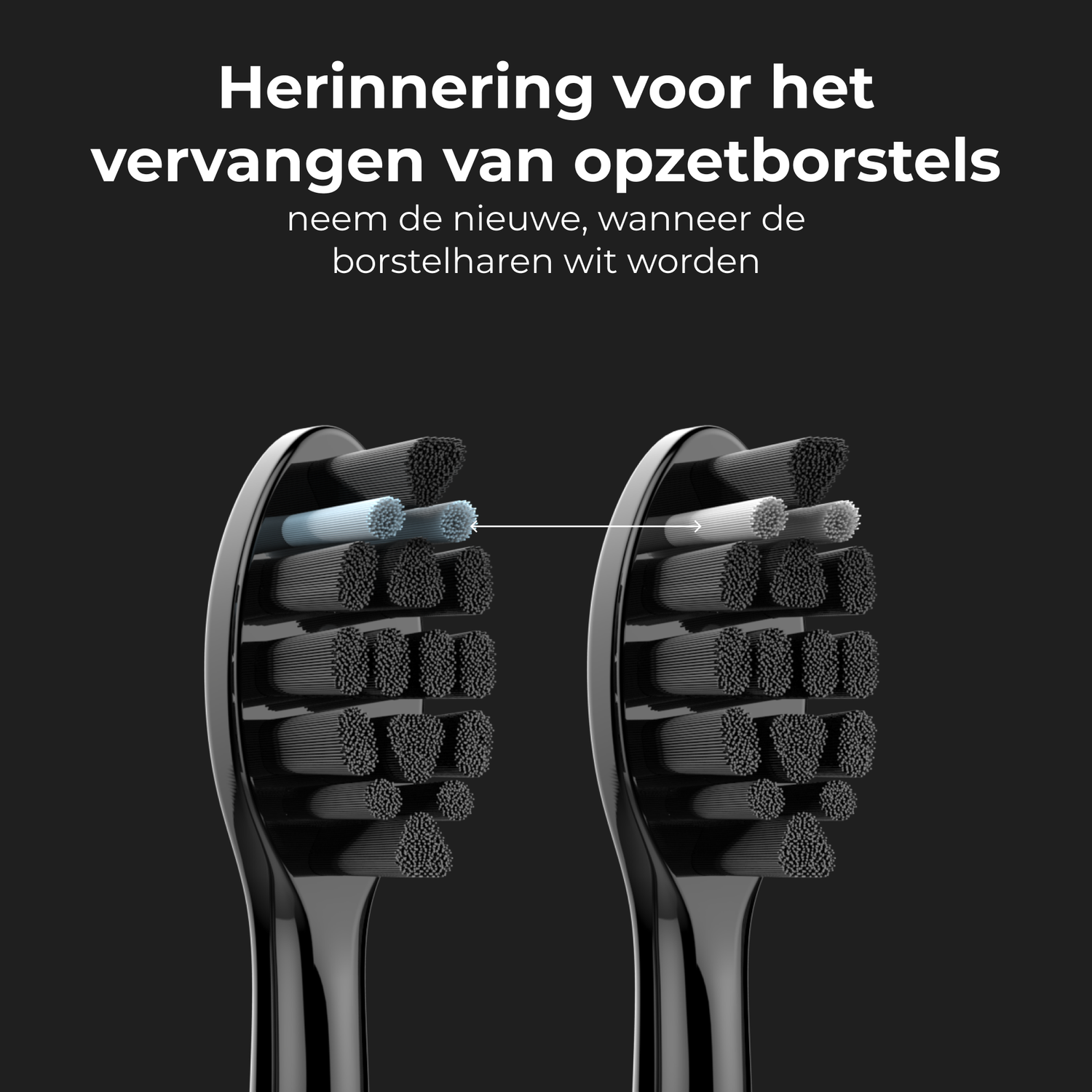 Two toothbrush heads are shown. One has blue bristles, and the other has grey bristles.