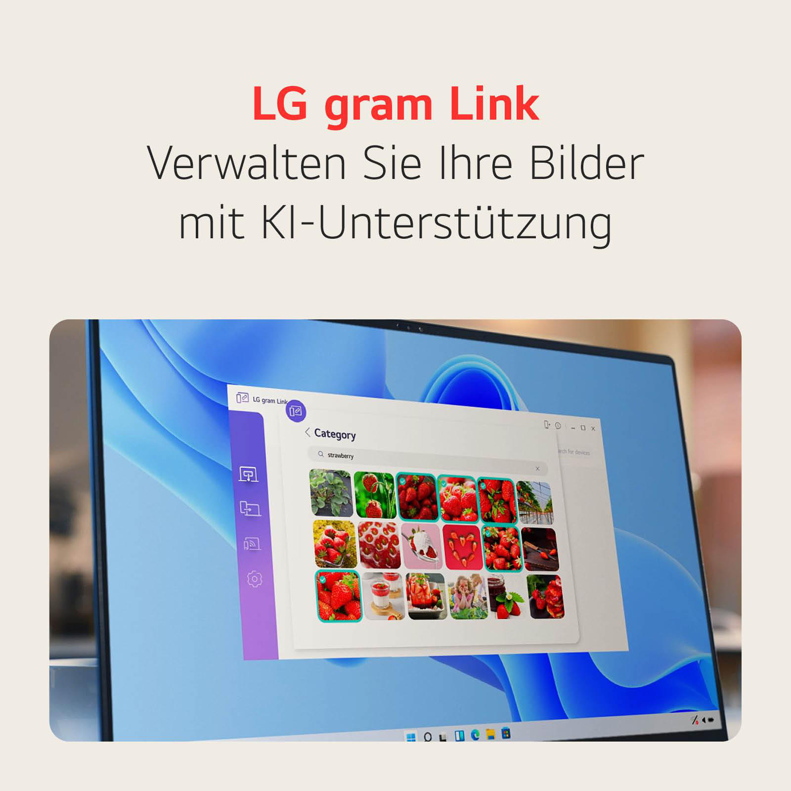 Ein Laptop-Bildschirm, der eine Bildkategorisierungs-Oberfläche anzeigt.