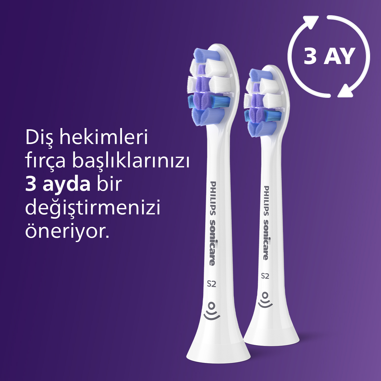Mor arka plan üzerinde mavi ve mor kıllı iki beyaz Philips Sonicare diş fırçası başlığı.