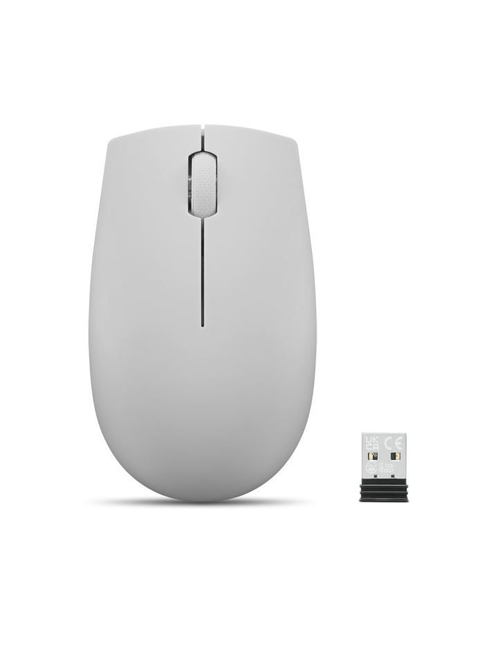 LENOVO 300 Kompakt Kablosuz Mouse Kutup Grisi