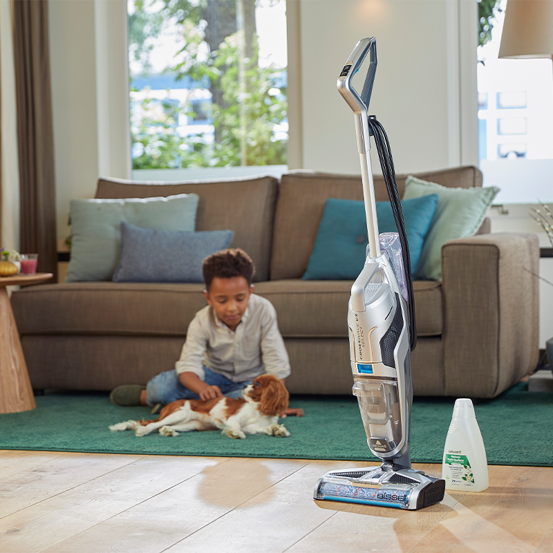 Bir çocuk ve köpek yeşil bir halıda oynuyor. Yakınlarda bir elektrikli süpürge, bir de şişe duruyor.