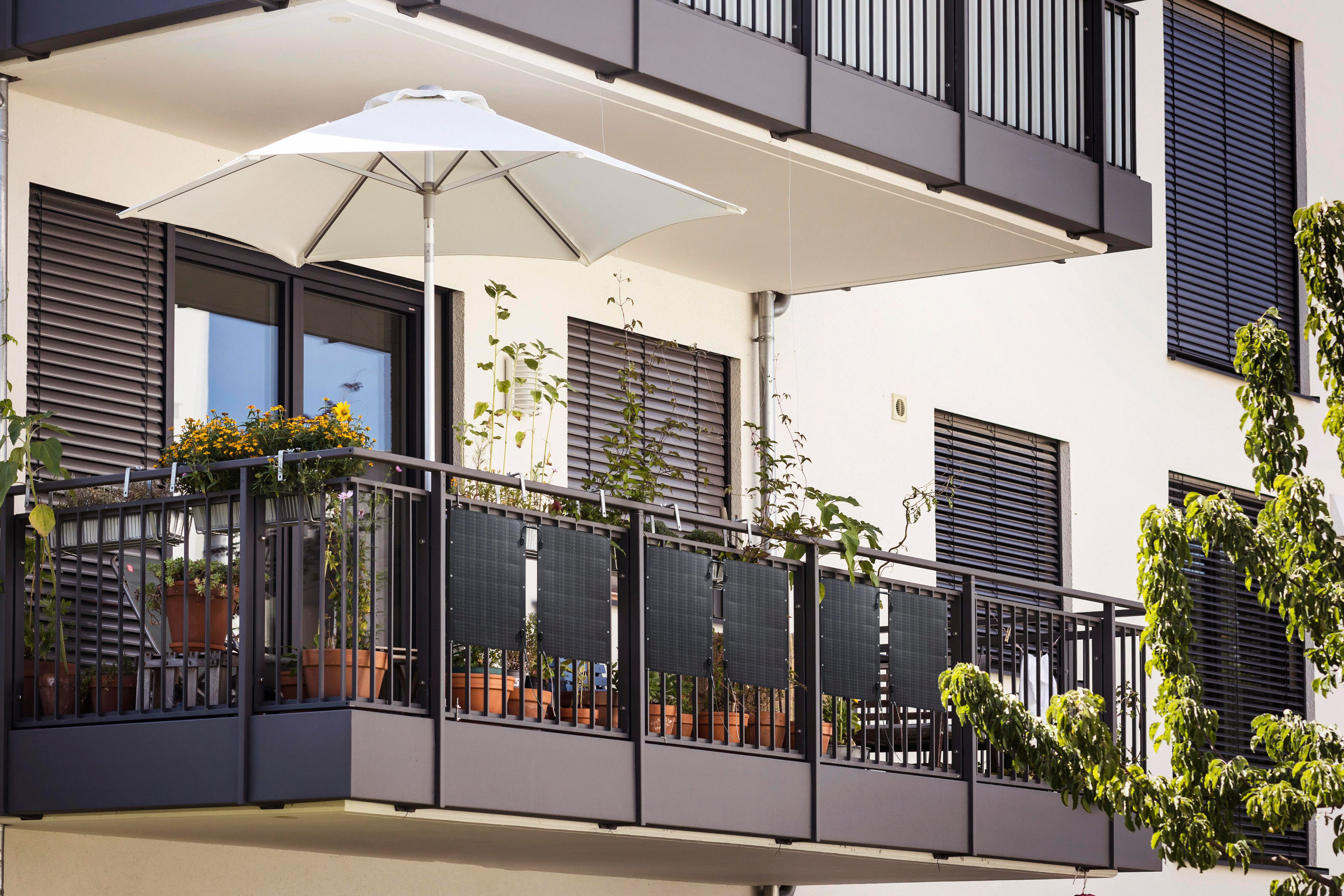 Balkon mit Pflanzen, einem weißen Sonnenschirm und schwarzen Sichtschutzwänden. Gebäude im Hintergrund.