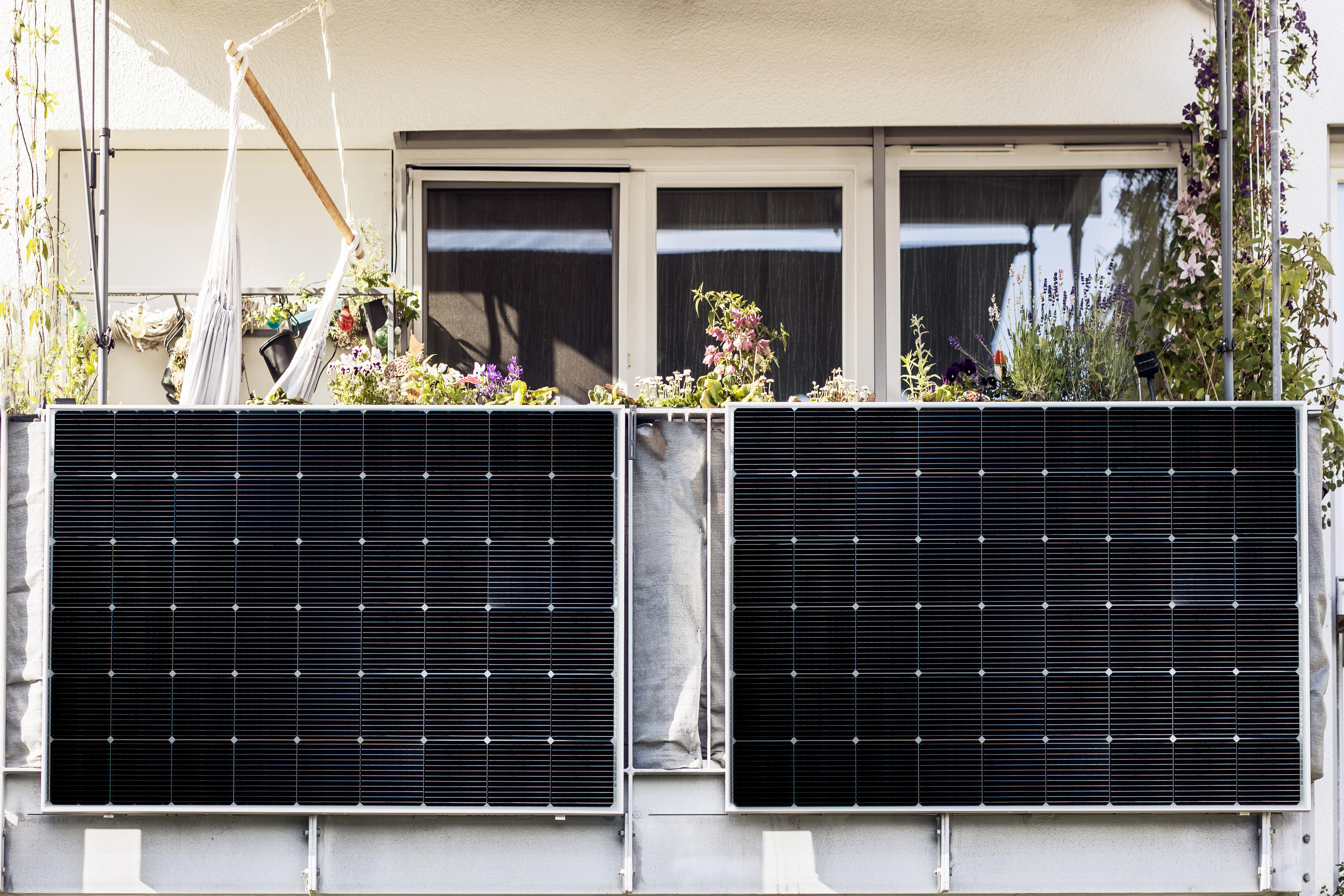 Solarpaneele auf einem Balkon mit Pflanzen und Fenstern im Hintergrund.