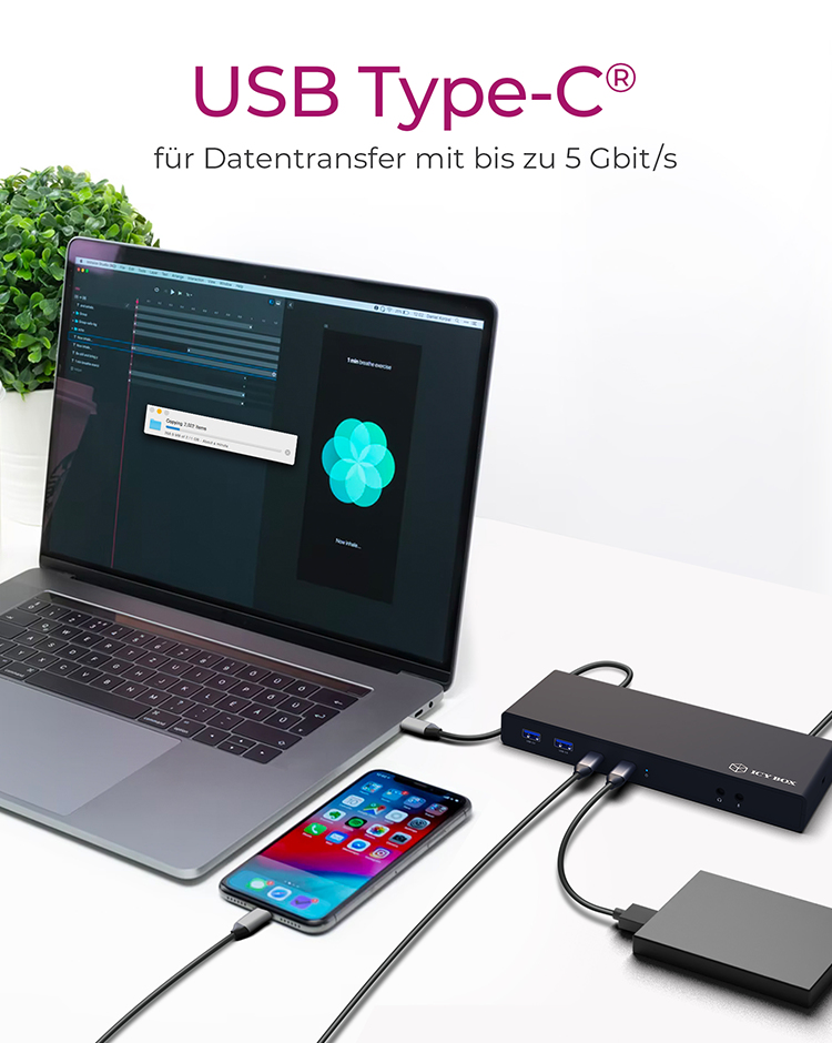 ICY BOX IB-DK2245AC - Dockingstation + USB Hub (Schwarz)