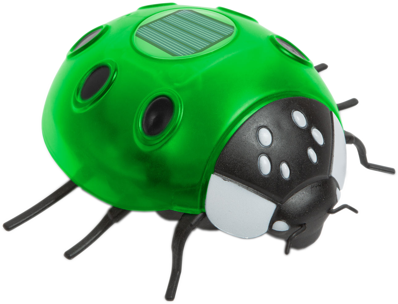 GARDEN OF EDEN Szolár katicabogár, zöld, 14,5 X 12 6 cm, melegfehér LED (11764B)