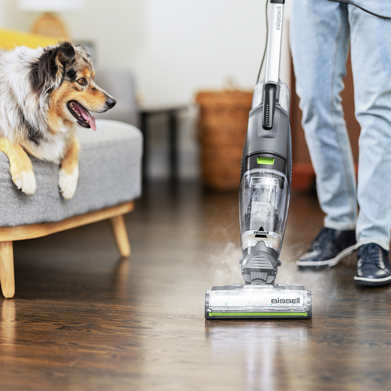 Bir köpek, üzerinde su bulunan bir zeminde bir elektrikli süpürgeyi izliyor. Elektrikli süpürge gri ve beyazdır.