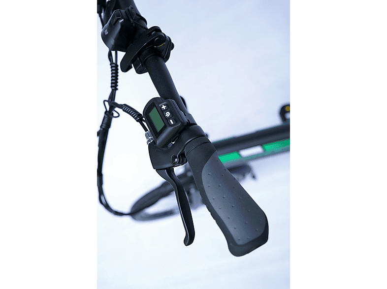 DOCGREEN E-Faltrad 20" Urbanbike (Laufradgröße: 20 Zoll, Rahmenhöhe: 30 cm, Unisex-Rad, 252 Wh, Schwarz)