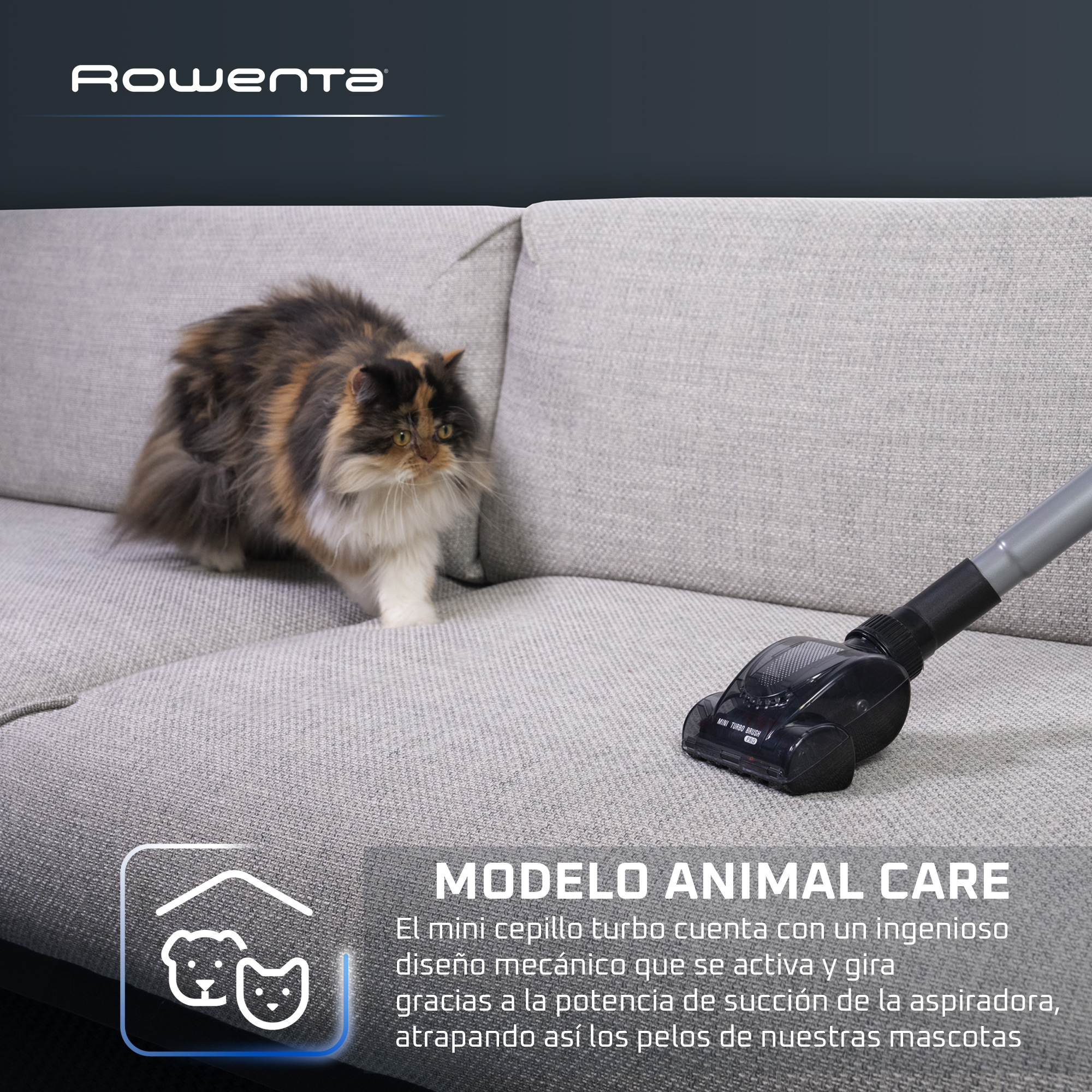 Un gato en un sofá gris con una aspiradora Rowenta.