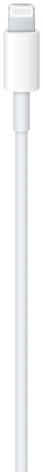 Un câble de chargeur Apple blanc avec un connecteur Lightning.